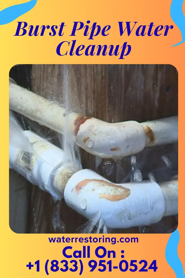 Burst Pipe Water Cleanup in Kings Mountain, NC