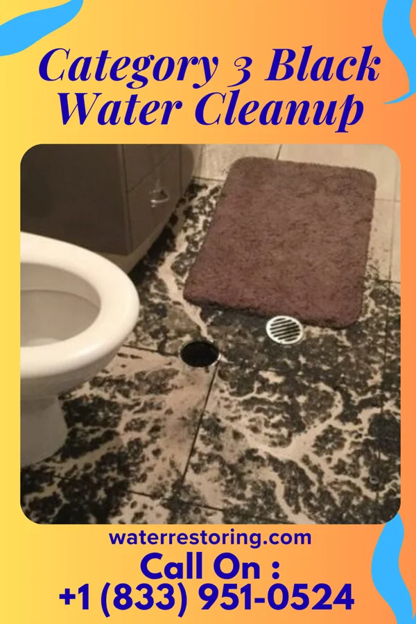 Category 3 Black Water Cleanup in Kings Mountain, NC