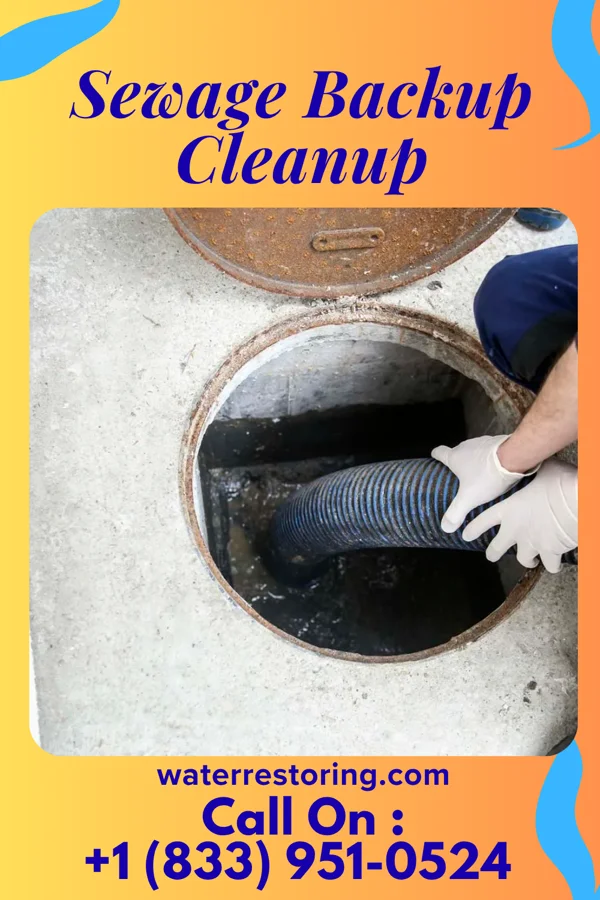 Sewage Backup Cleanup in Kings Mountain, NC